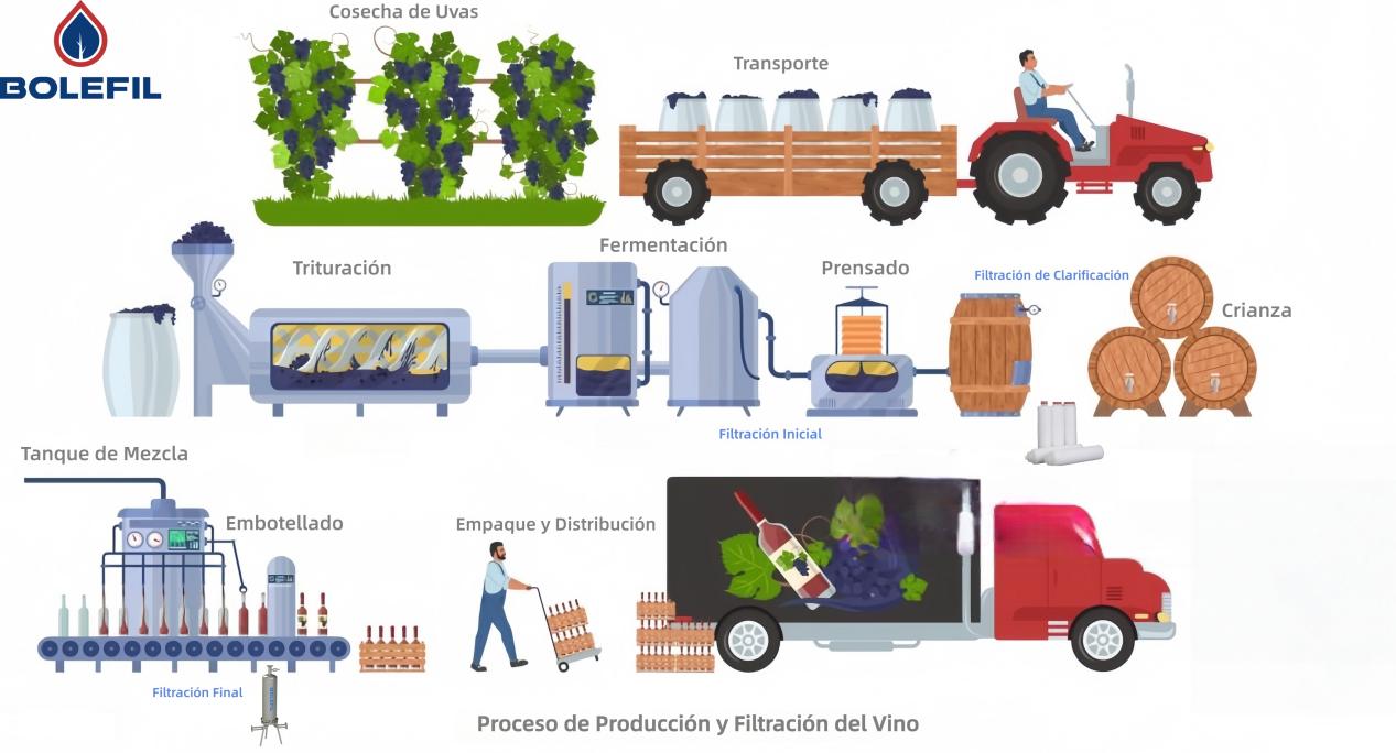 Etapas de filtración de vino