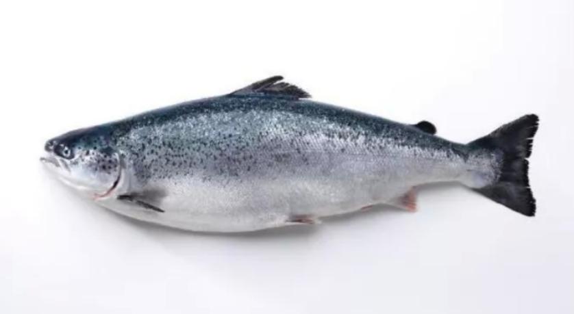 productos Brother Filtration